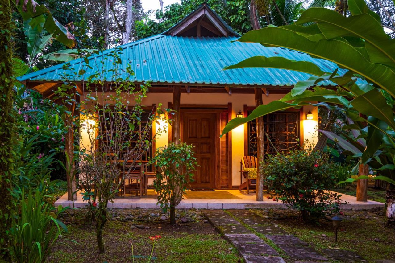 El Nido Jungle Lodge Puerto Viejo de Talamanca Exterior photo