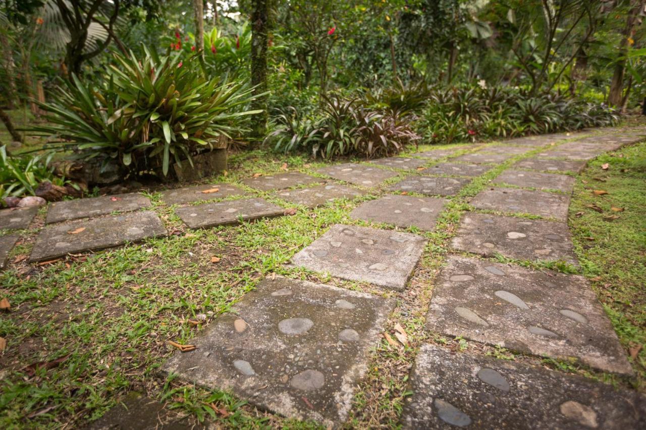 El Nido Jungle Lodge Puerto Viejo de Talamanca Exterior photo