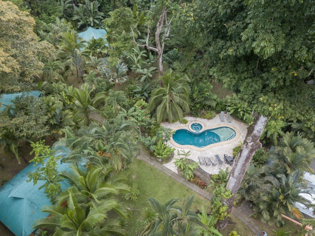 El Nido Jungle Lodge Puerto Viejo de Talamanca Exterior photo