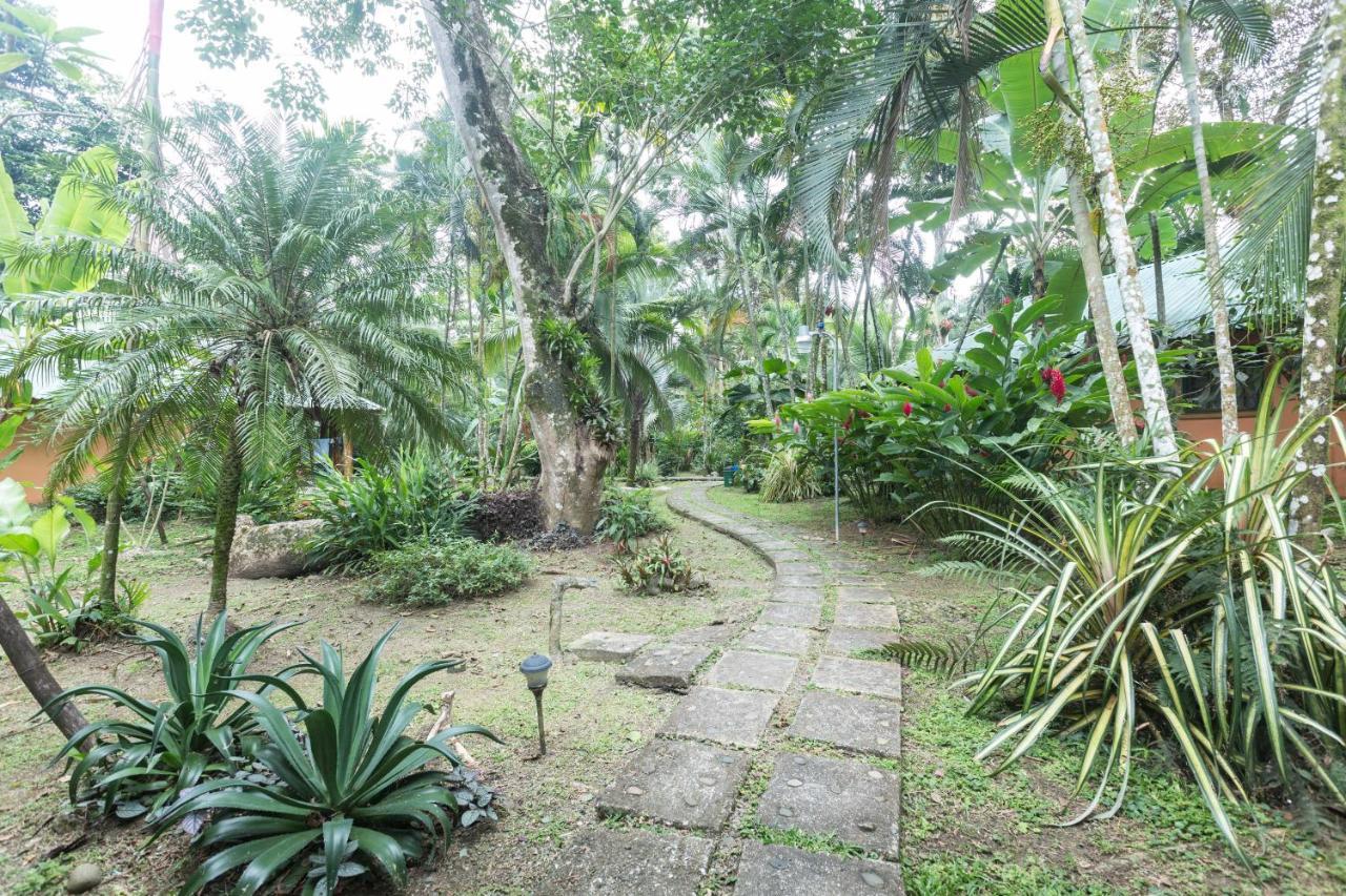 El Nido Jungle Lodge Puerto Viejo de Talamanca Exterior photo