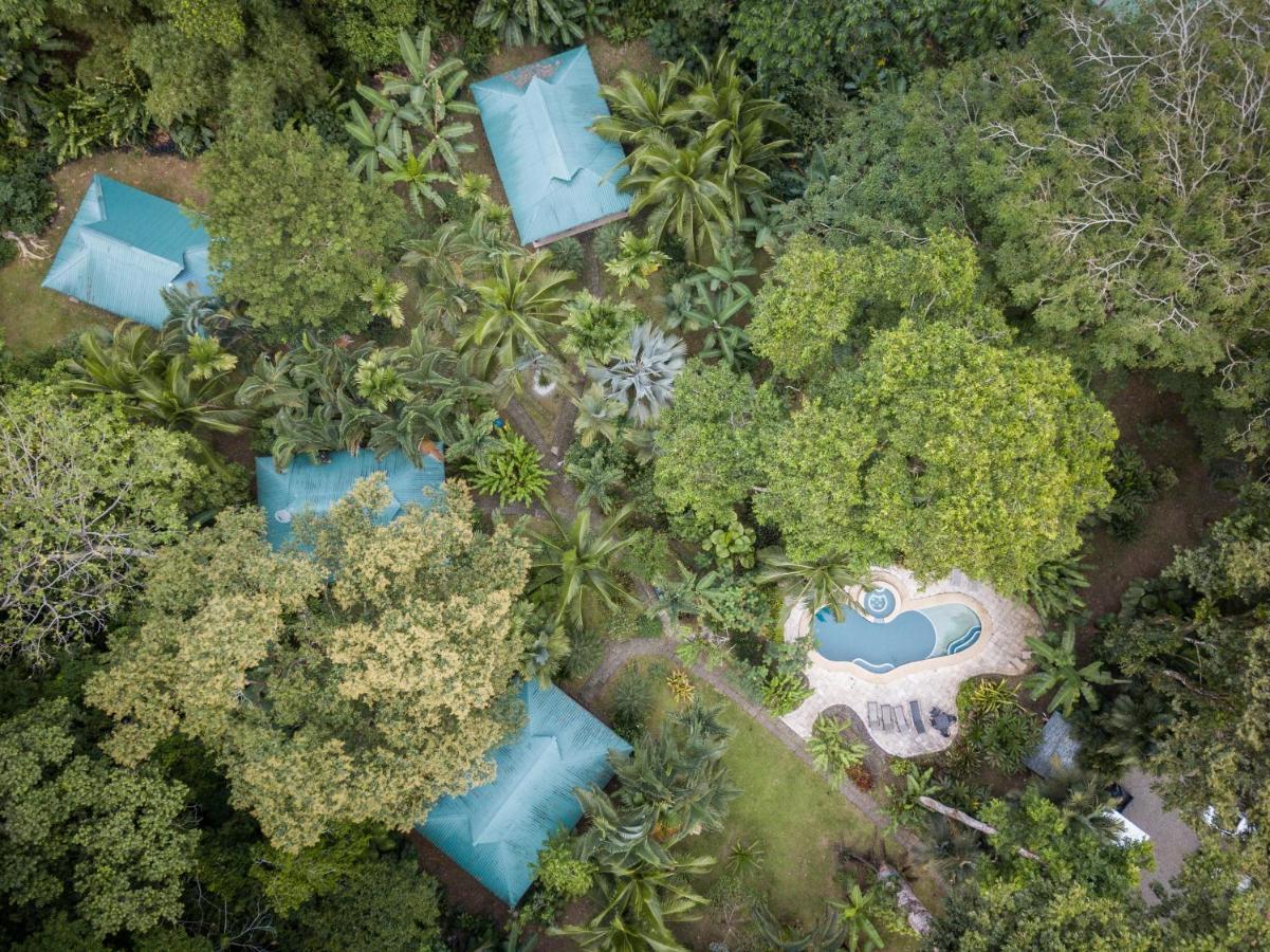 El Nido Jungle Lodge Puerto Viejo de Talamanca Exterior photo